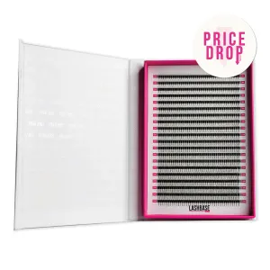 5D Volume Fans – XXL Tray
