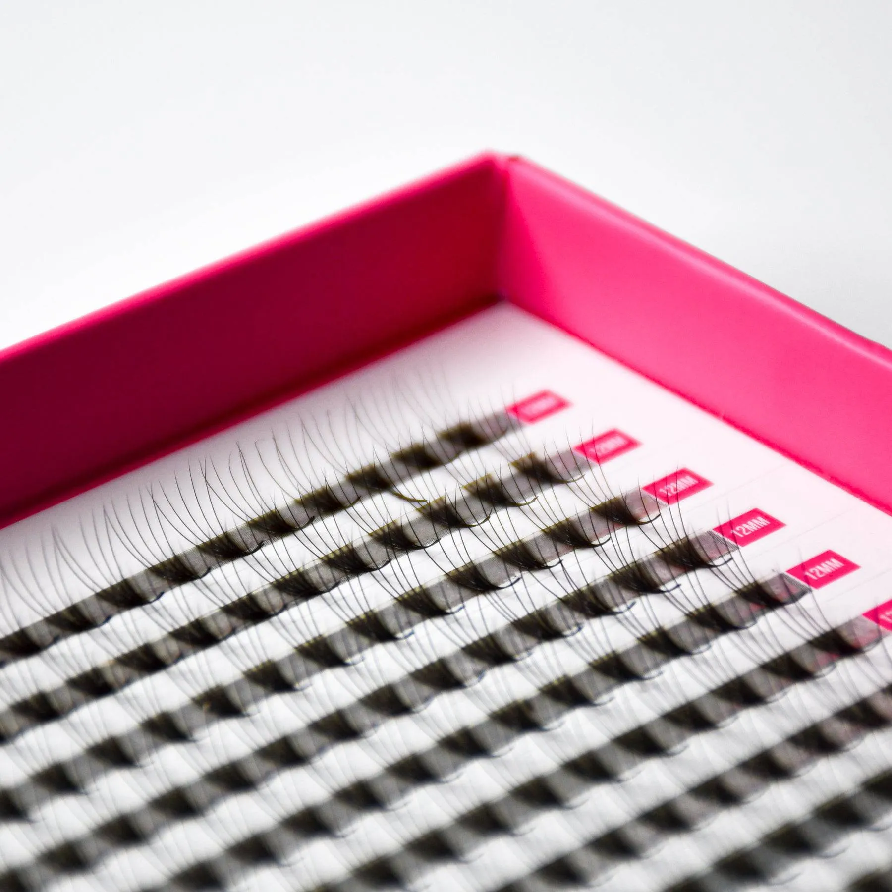 5D Volume Fans – XXL Tray