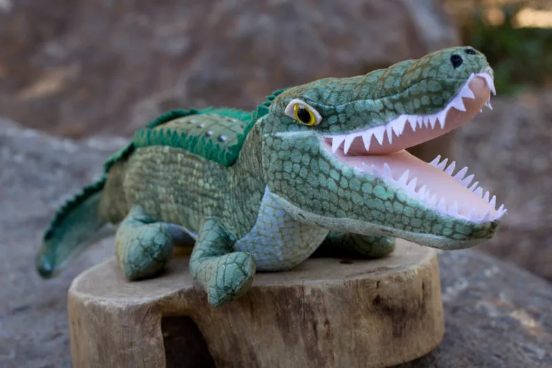 Alligator