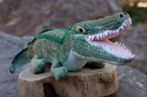 Alligator