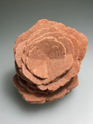 Barite (Rose), Norman, Oklahoma, Dr. David London Collection, Small Cabinet, 7.0 cm x 7.0 cm x 7.0 cm, $120.  Online Oct. 13.