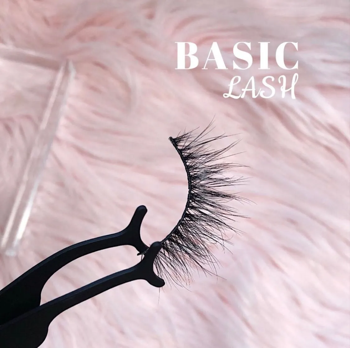 BASIC