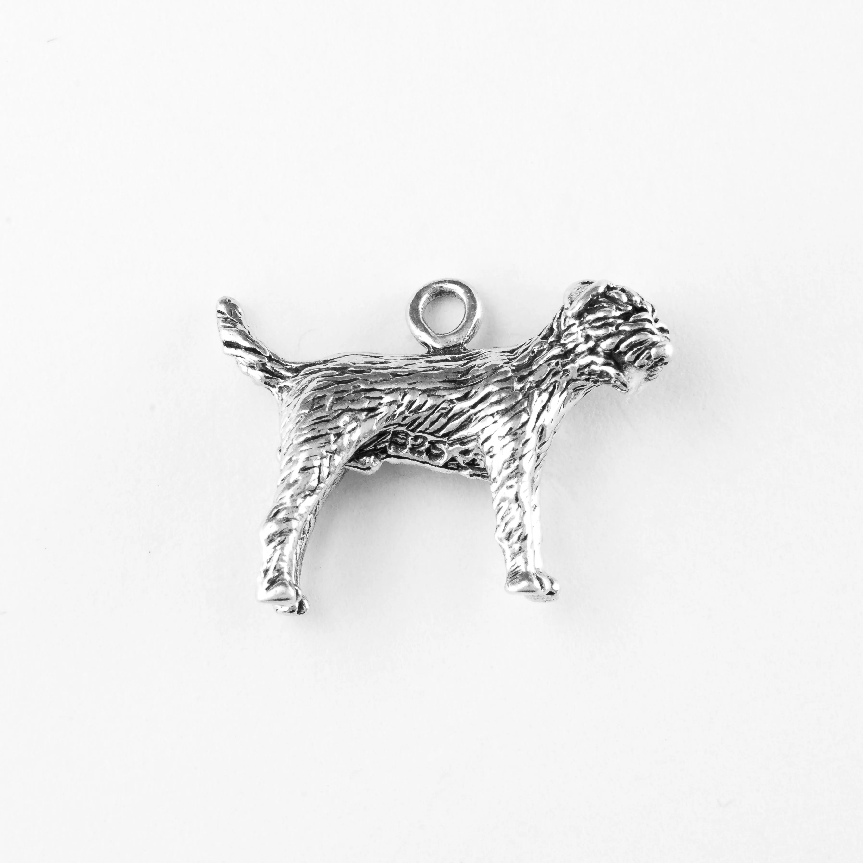 Border Terrier