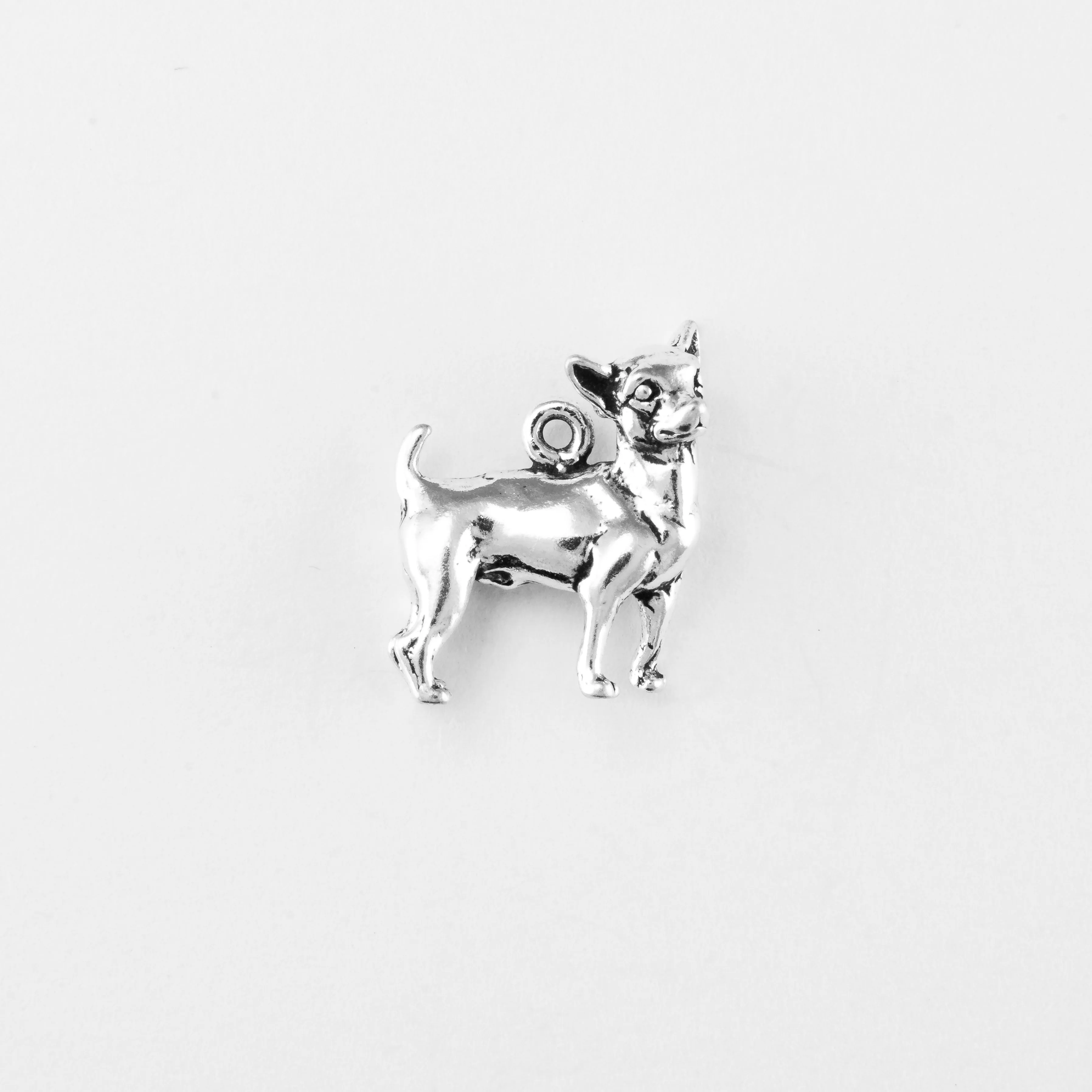 Chihuahua, Body