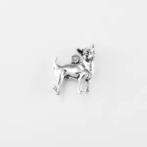 Chihuahua, Body