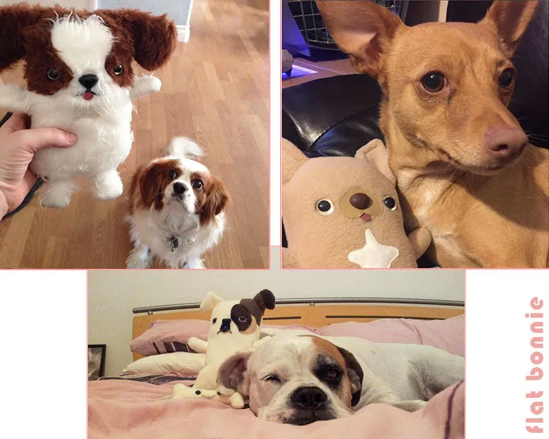 Custom Dog stuffed animal - Plush clone of your puppy - Multi-Color