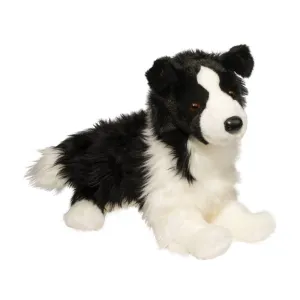 Douglas - Chase Border Collie