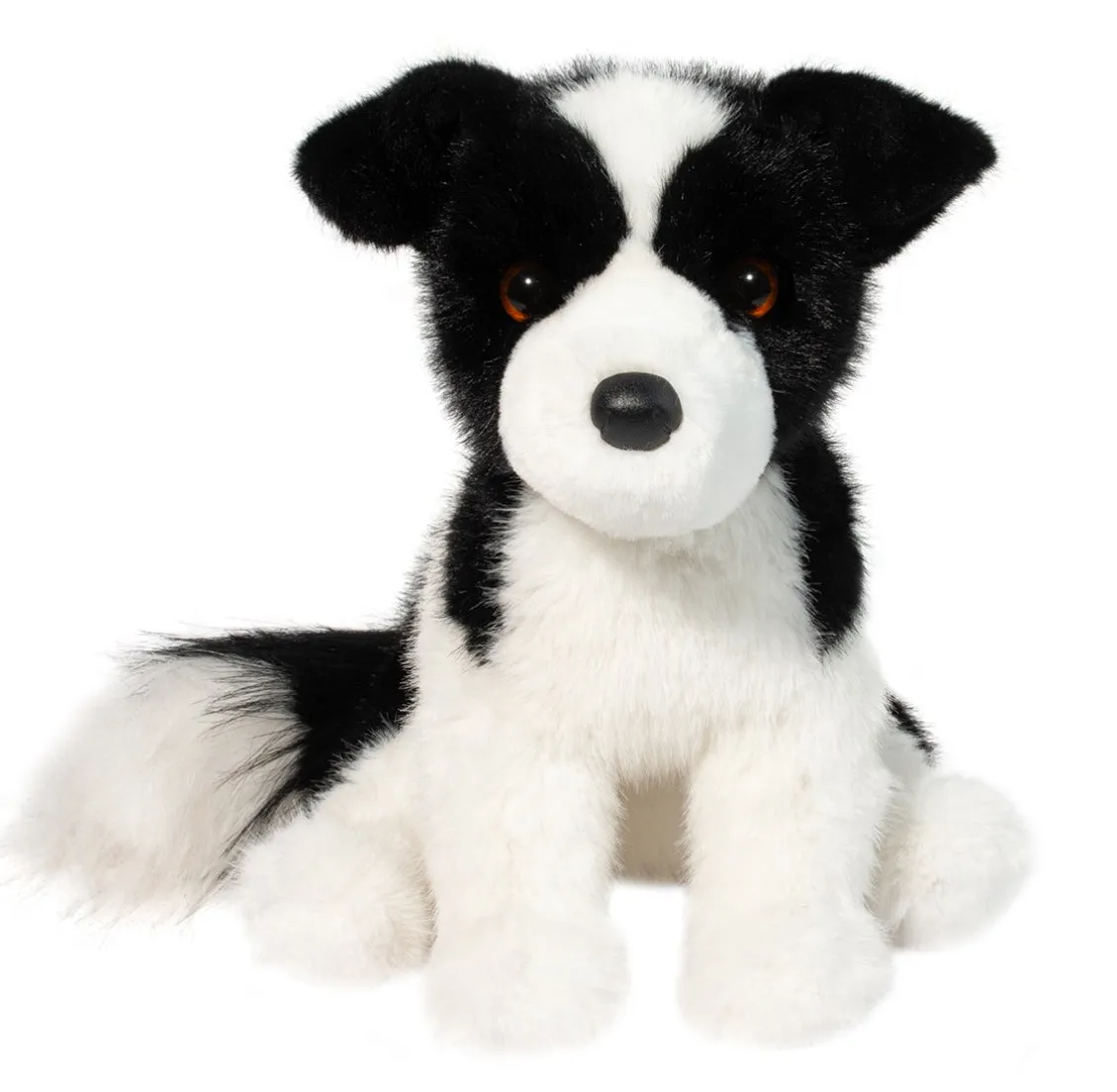 Douglas - Herdie Border Collie