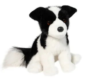 Douglas - Herdie Border Collie