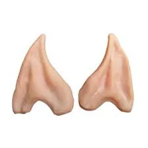 Ear Tips
