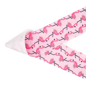 Fancy Flamingos