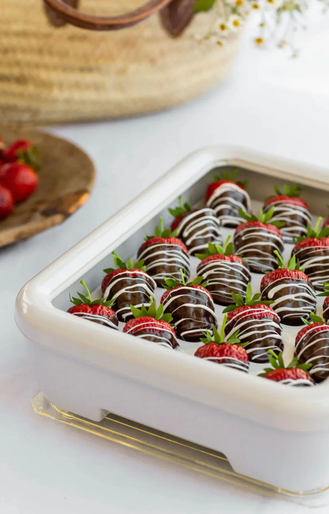 Fancy Panz Egg Tray