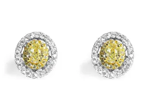 Fancy Yellow Diamond Stud Earrings