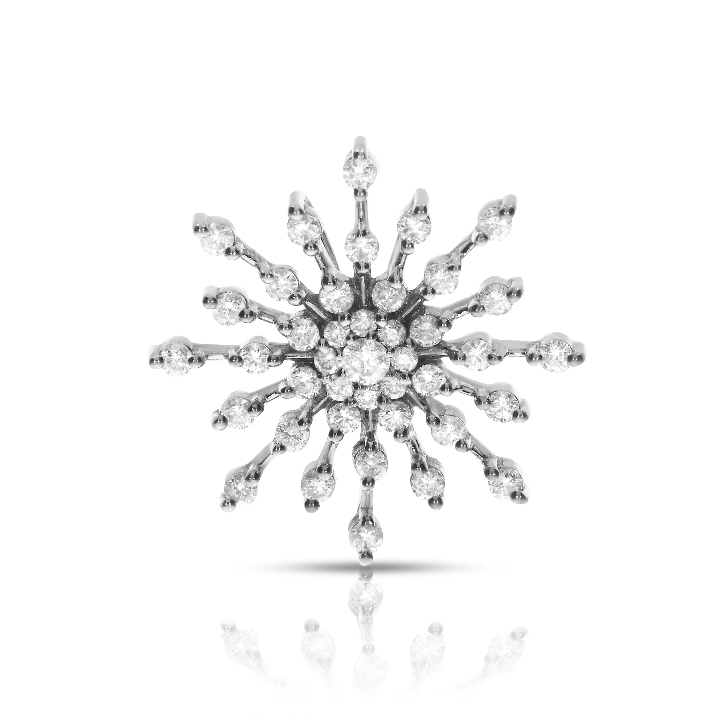 Freezing Beauty