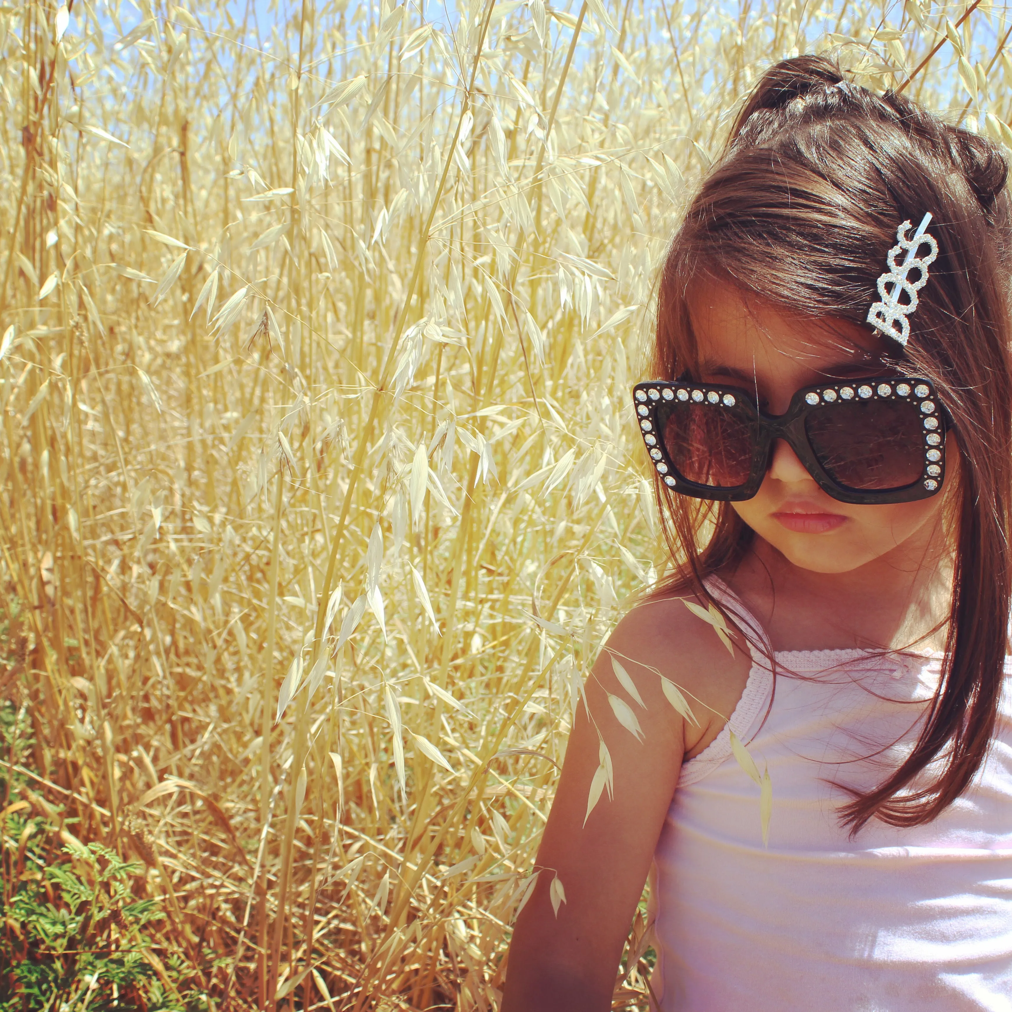 Glam Statement Hair Pins & Brooch