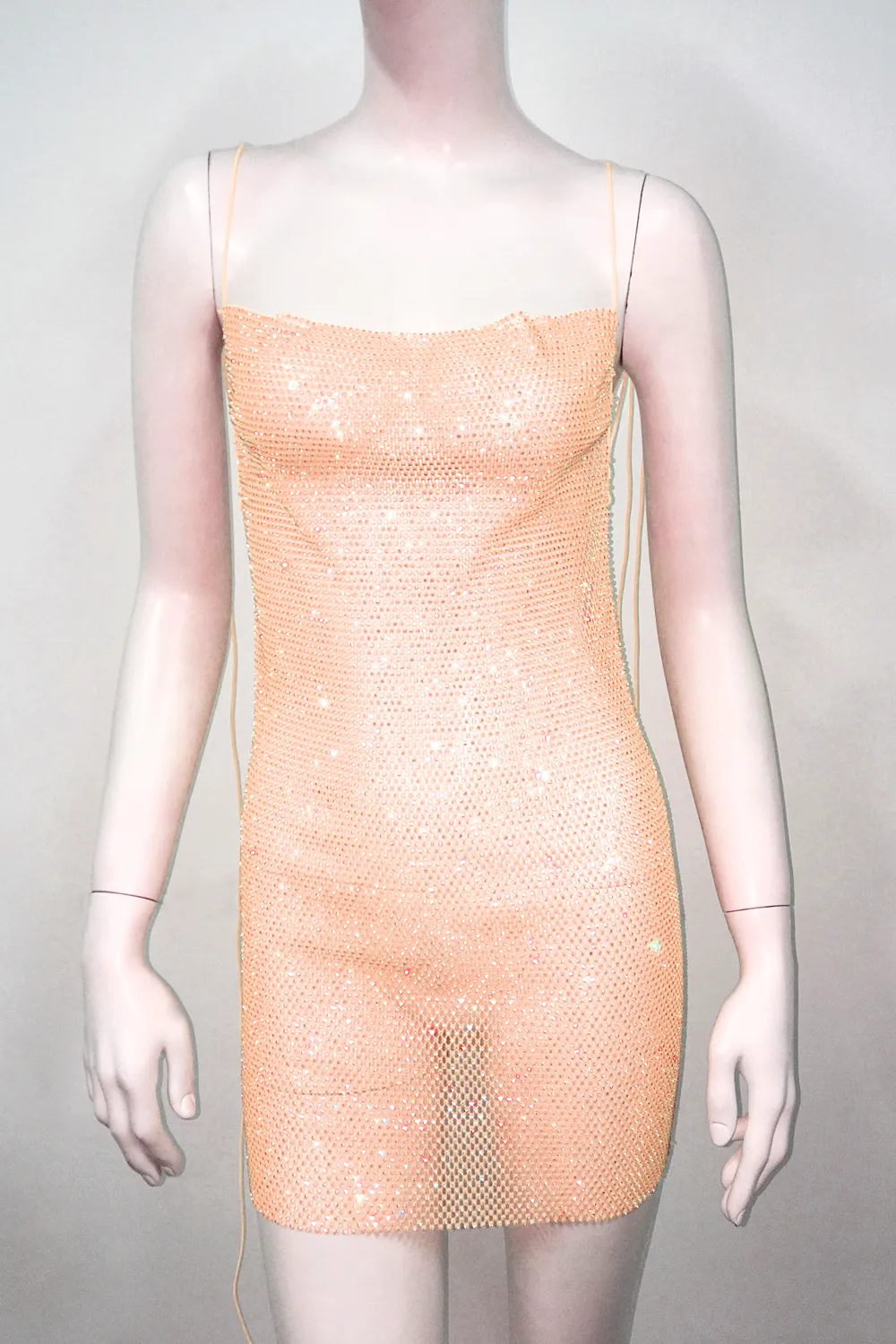 Glisten Mesh Dress