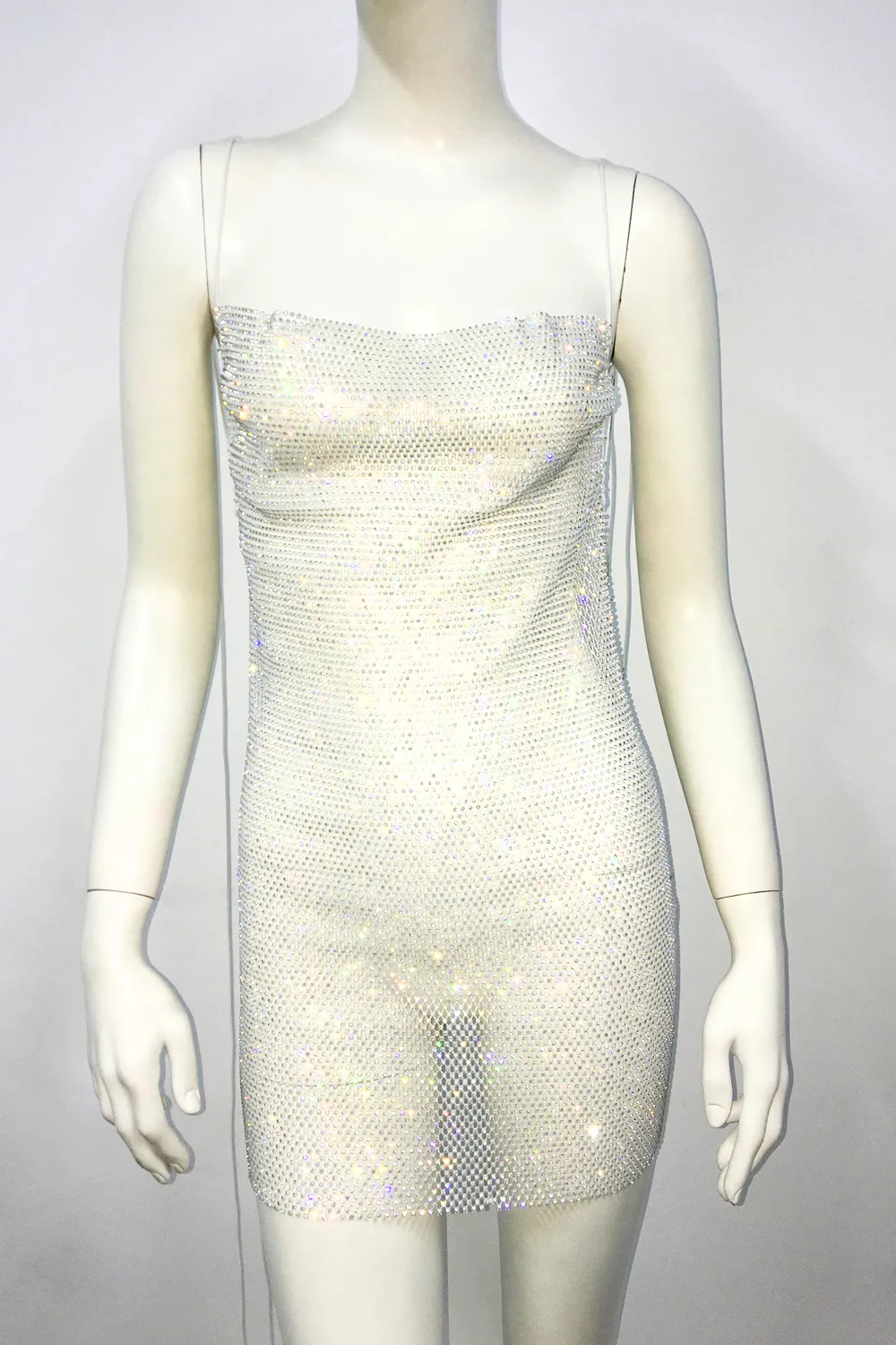 Glisten Mesh Dress