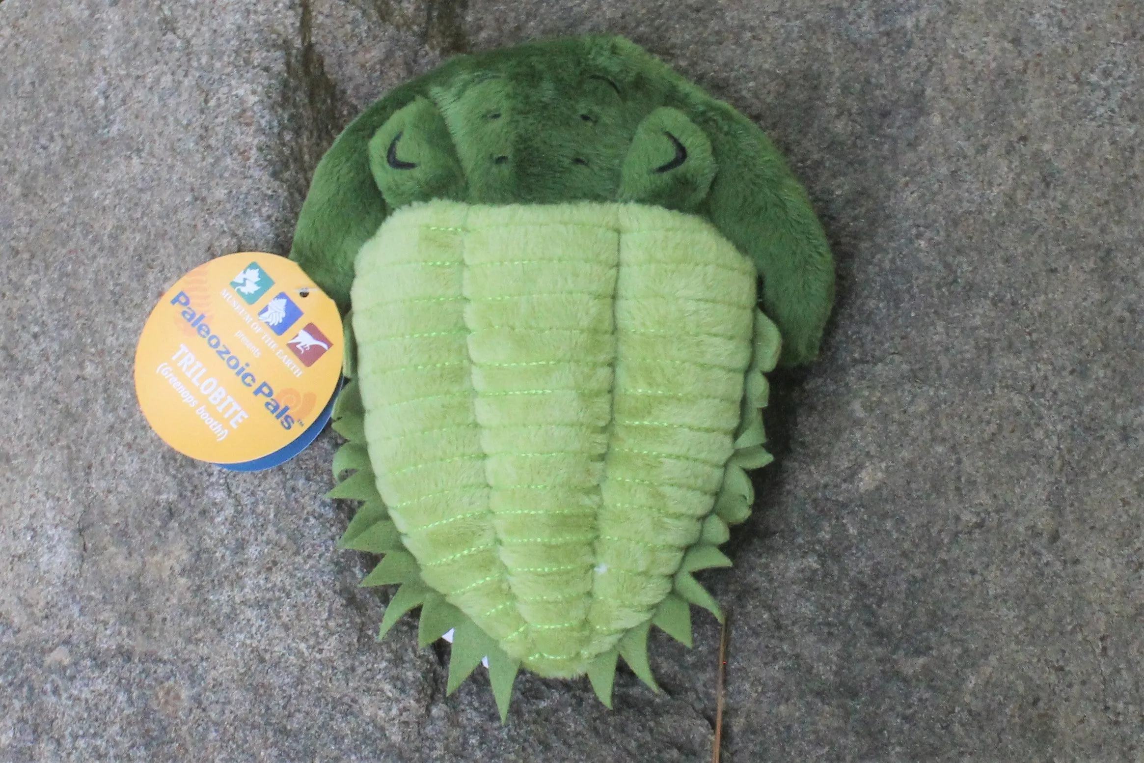 Green Trilobite