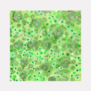 Greeniliscious
