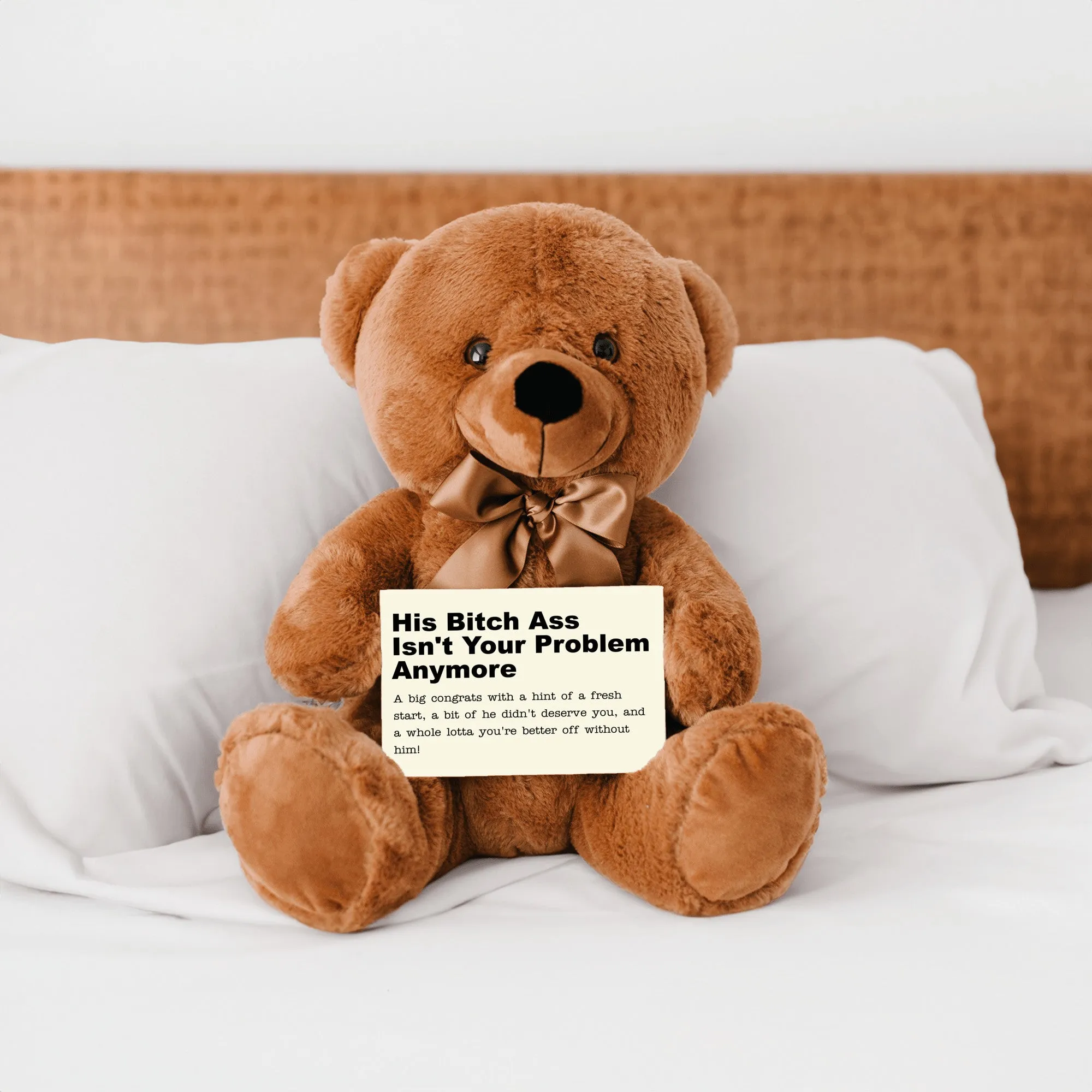 He Isn't Your Problem Anymore Teddy Bear with Message Card - PRICE INCLUDES FREE SHIPPING