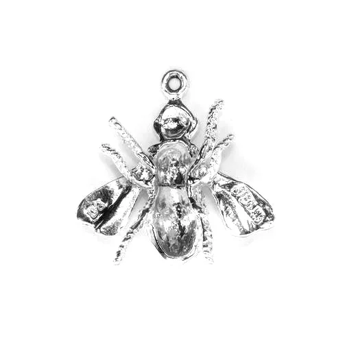House Fly