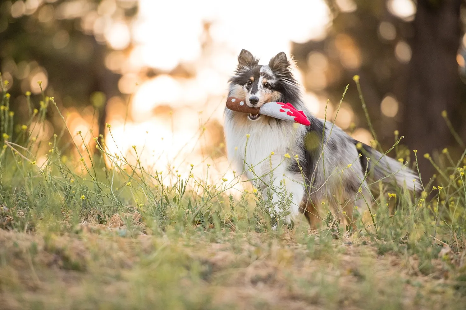 Howling Haunts Doggy Dagger