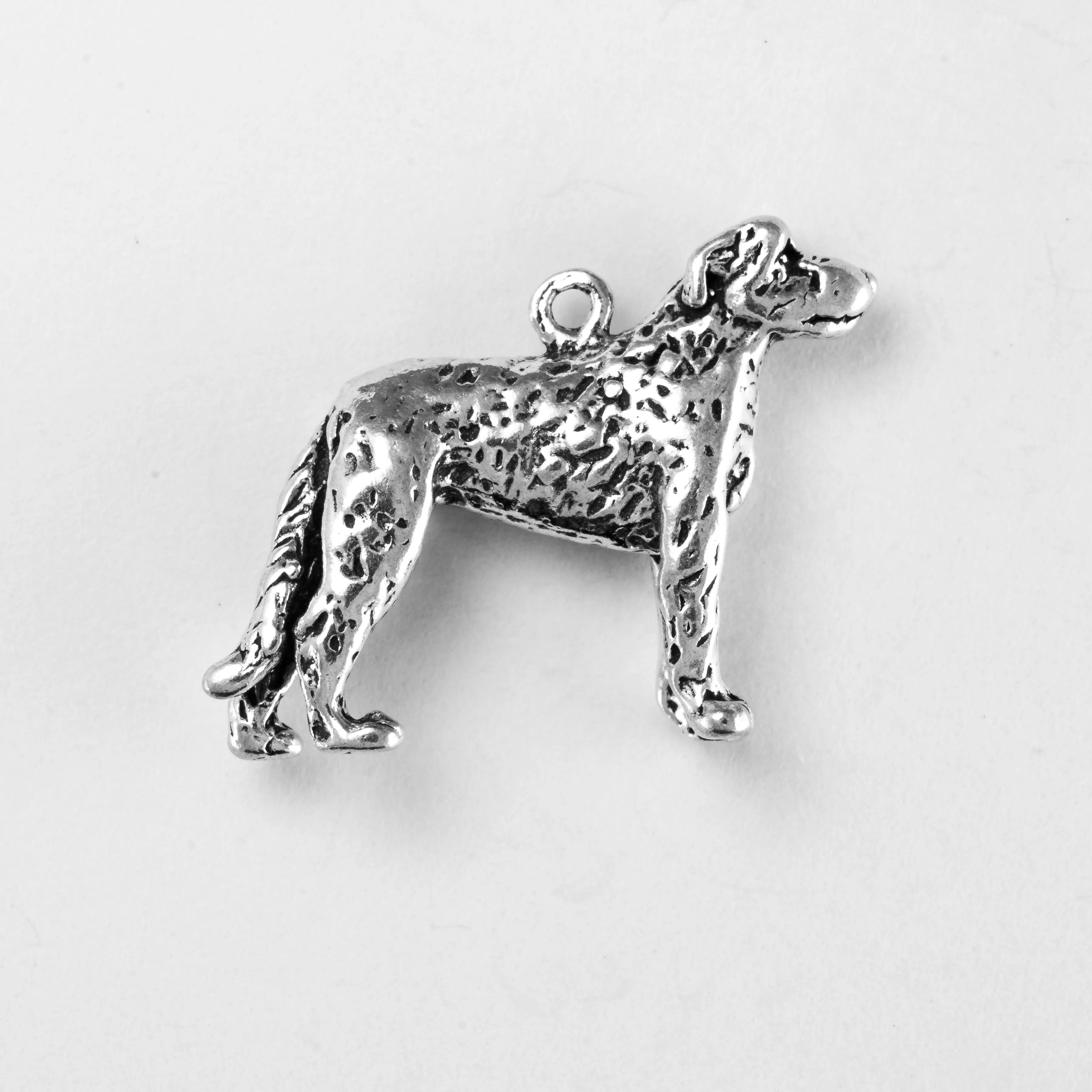 Irish Wolfhound