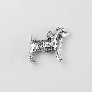 Jack Russell Terrier