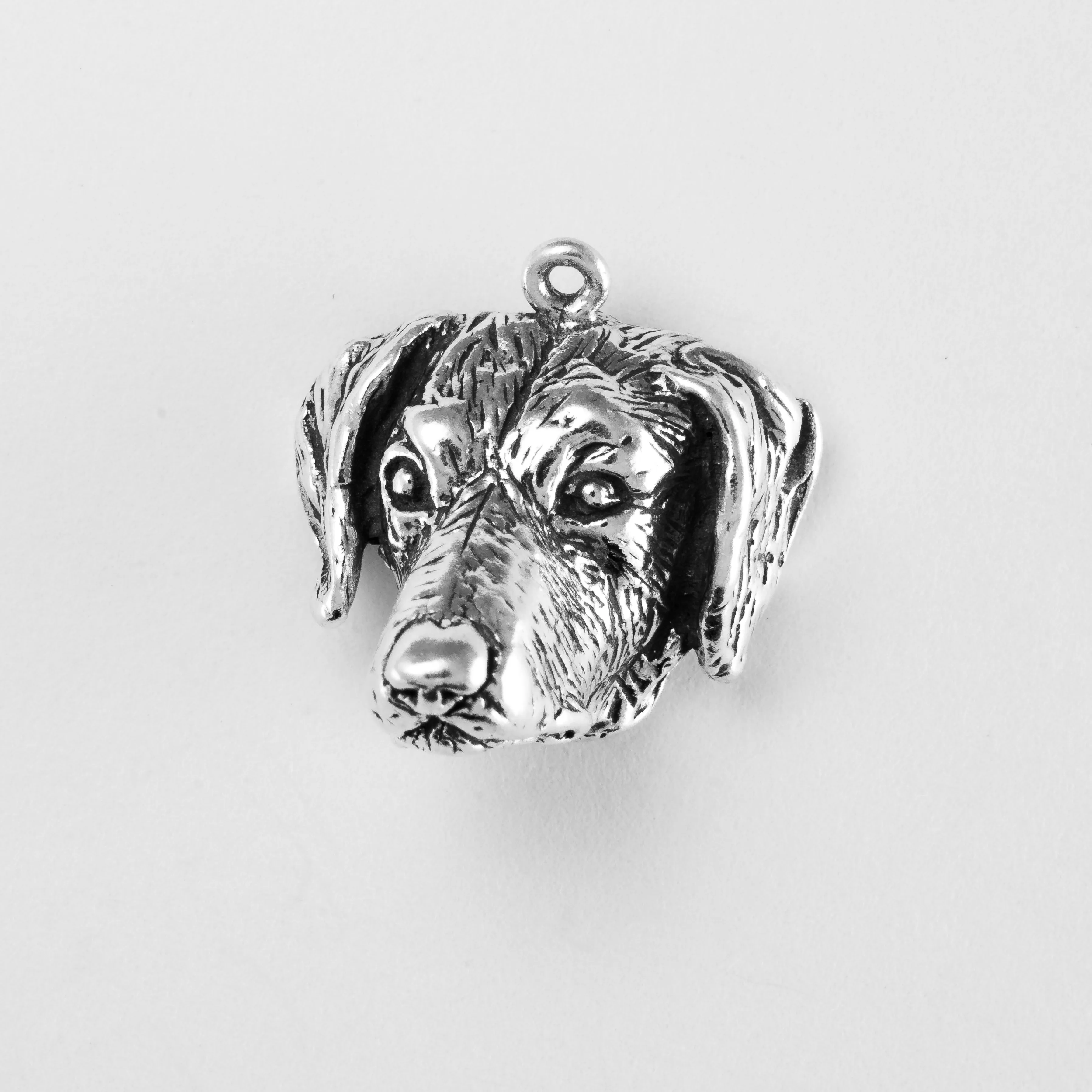 Labrador Retriever, Head