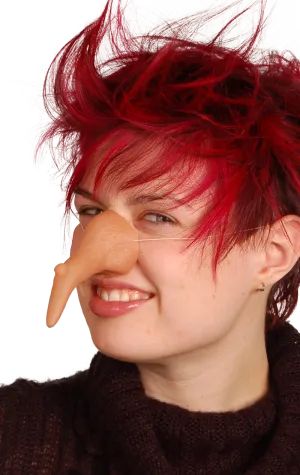 Long Pointed Witch Nose
