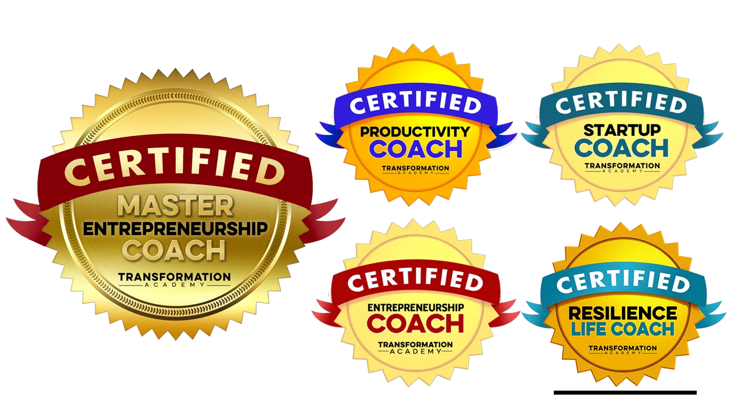 Master Entrepreneurship Coach Certification