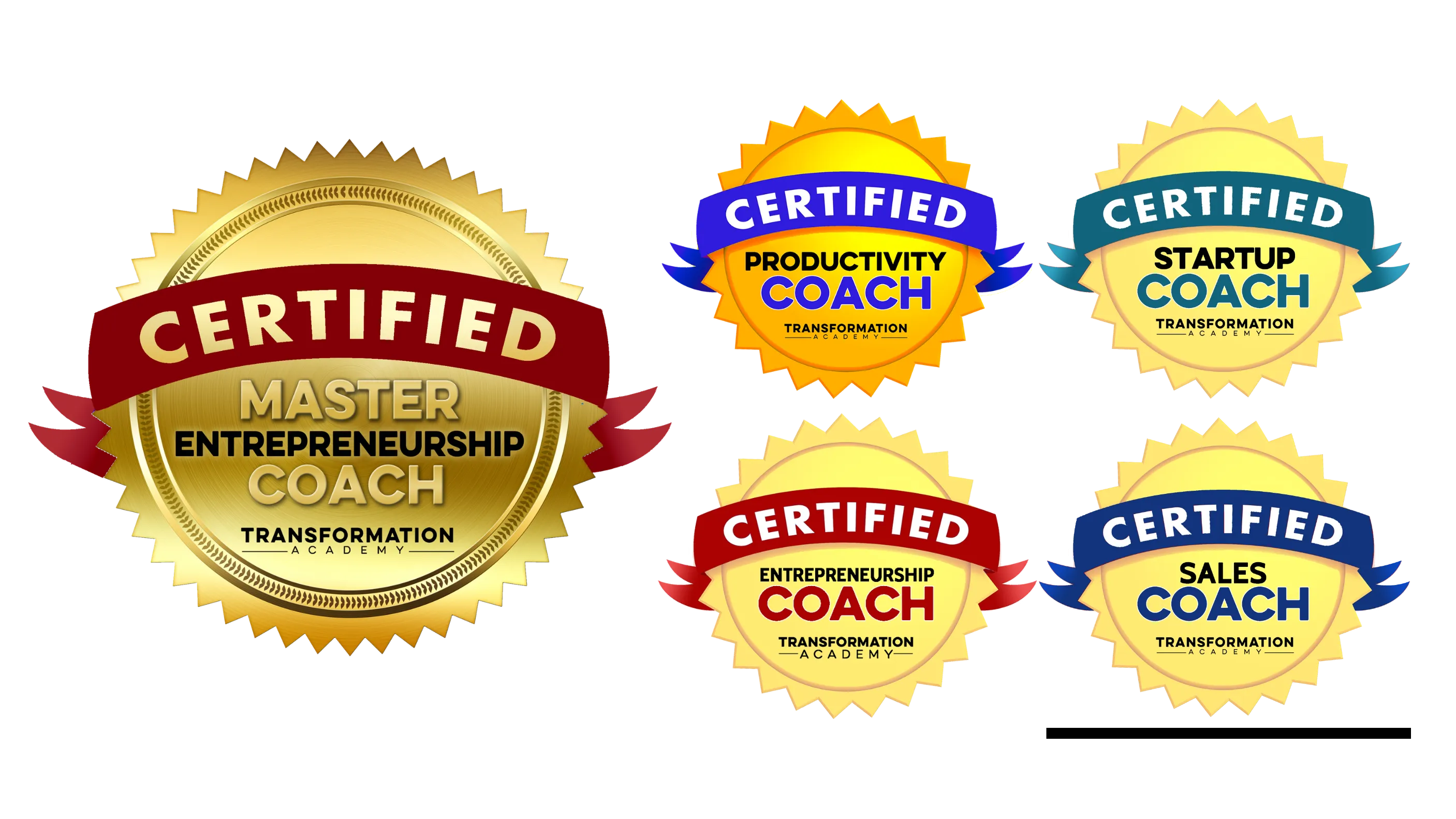 Master Entrepreneurship Coach Certification