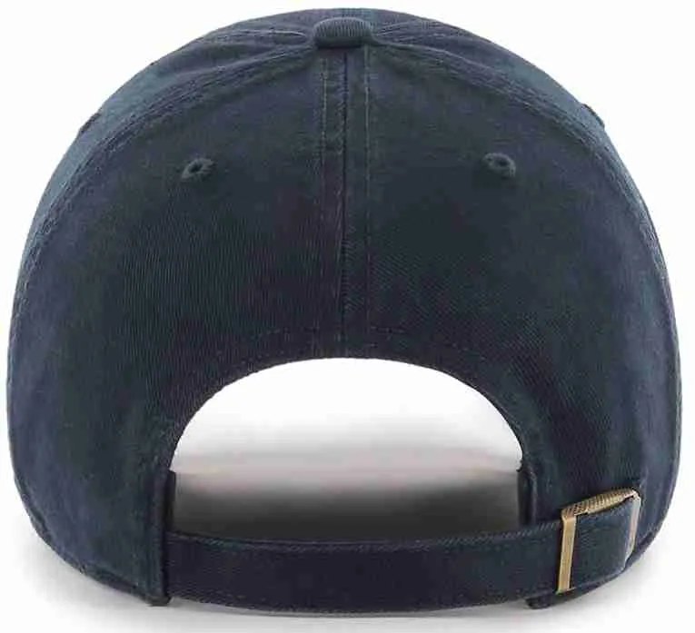 Michigan '47 Clean Up Cap