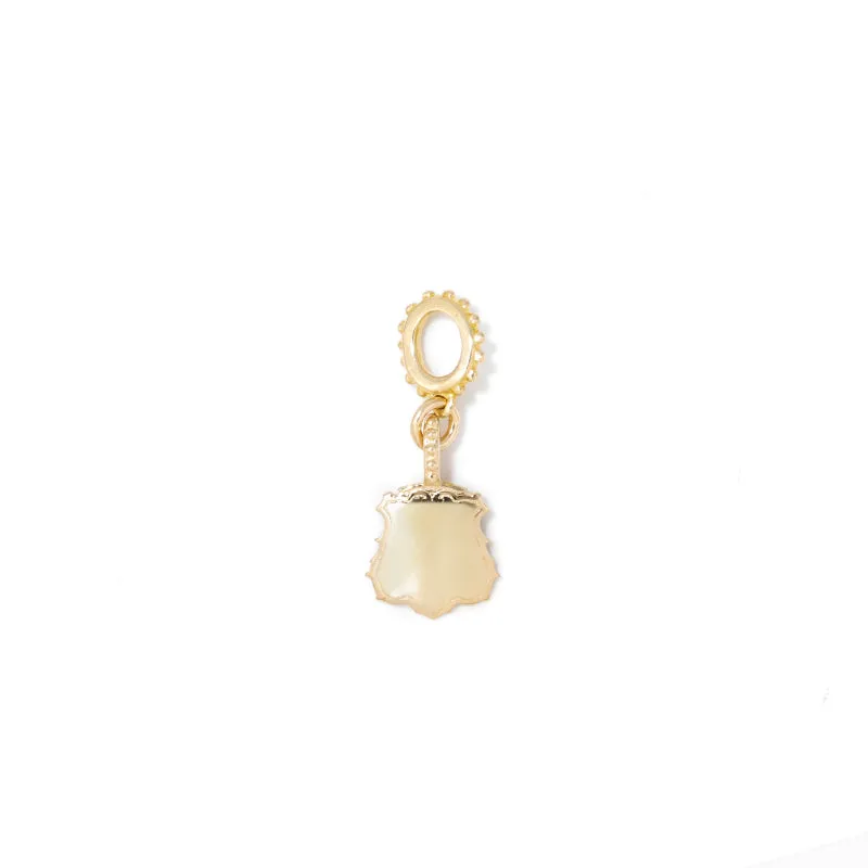 Mini Shiny Shield Charm
