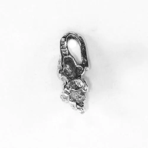 Mouse, Tiny