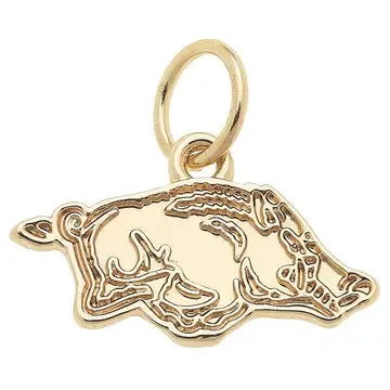 NCAA Logo Charms