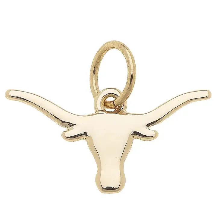 NCAA Logo Charms