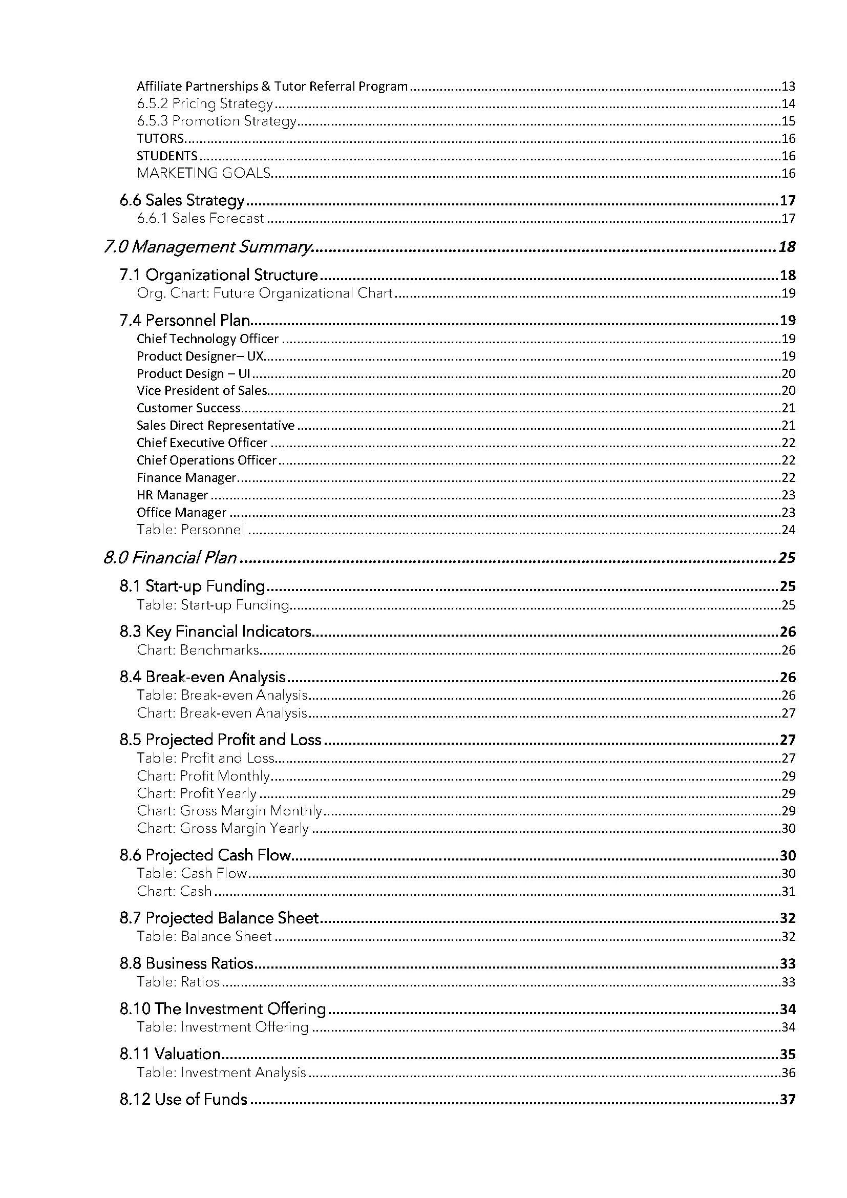 Online Marketplace Business Plan Template