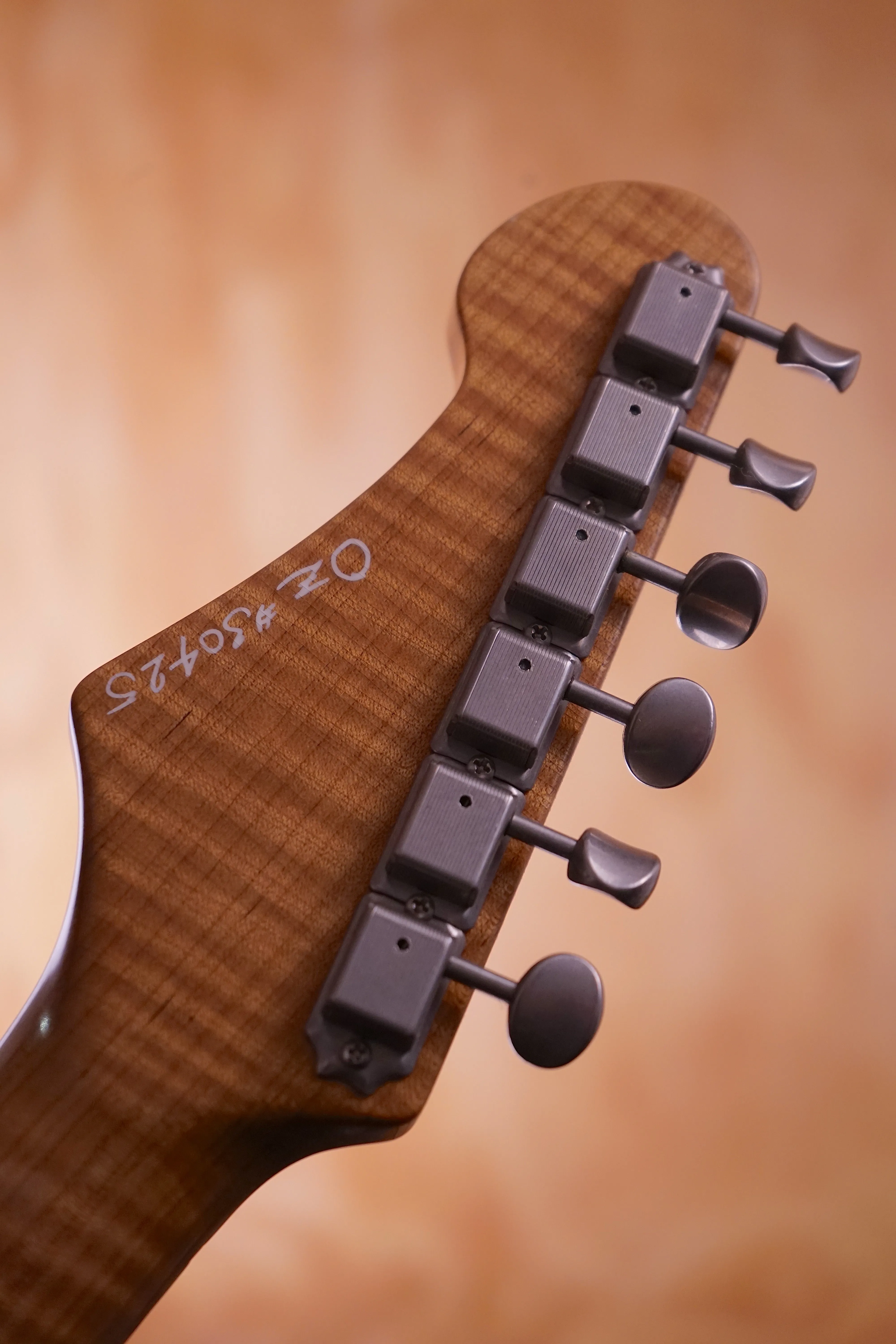 Patrick James Egge Oz Goldtop, (Used)