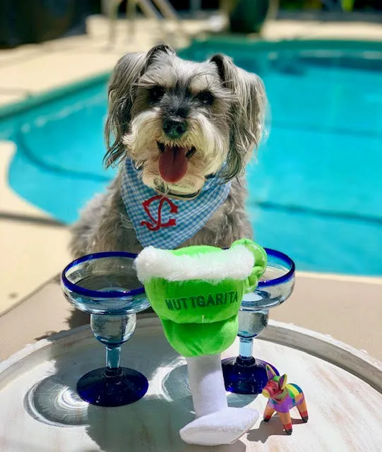 Plush Dog Cat Pet Toy, Muttgarita
