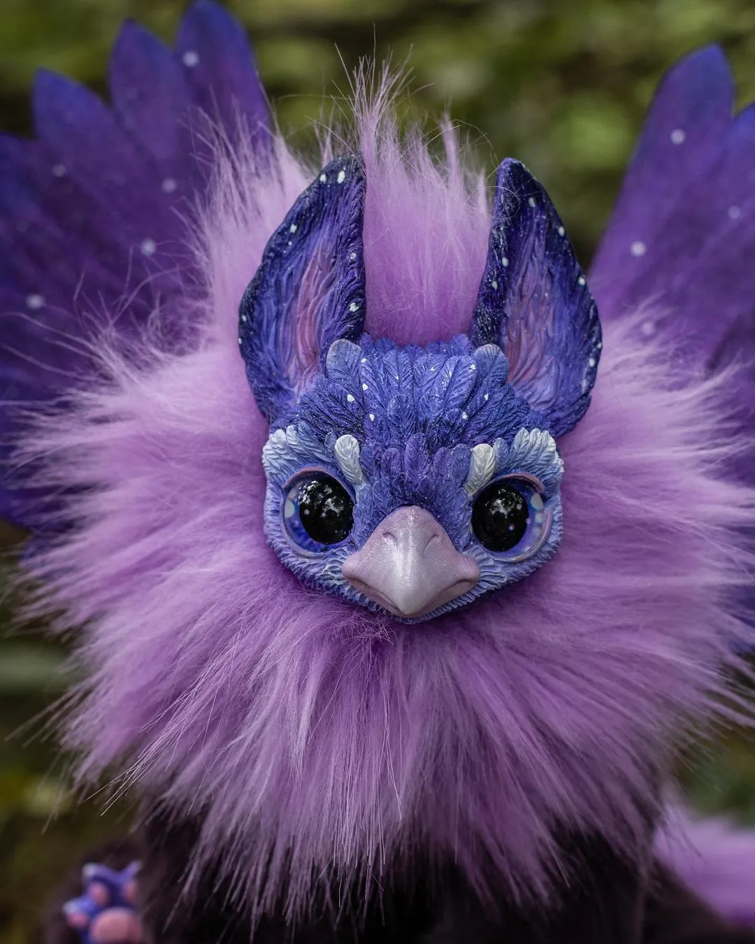 Pointy-eared griffin– Purple
