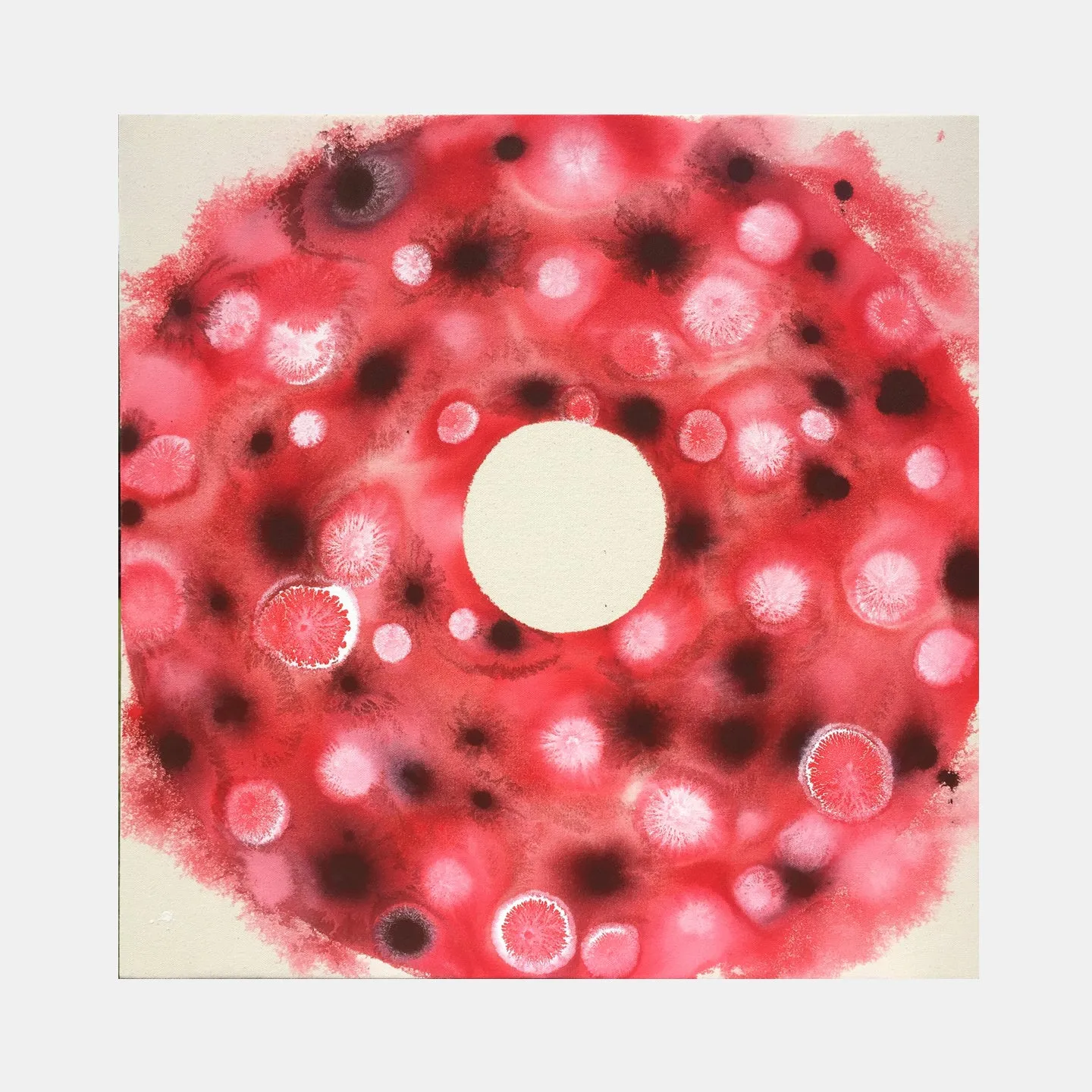 Red Pi