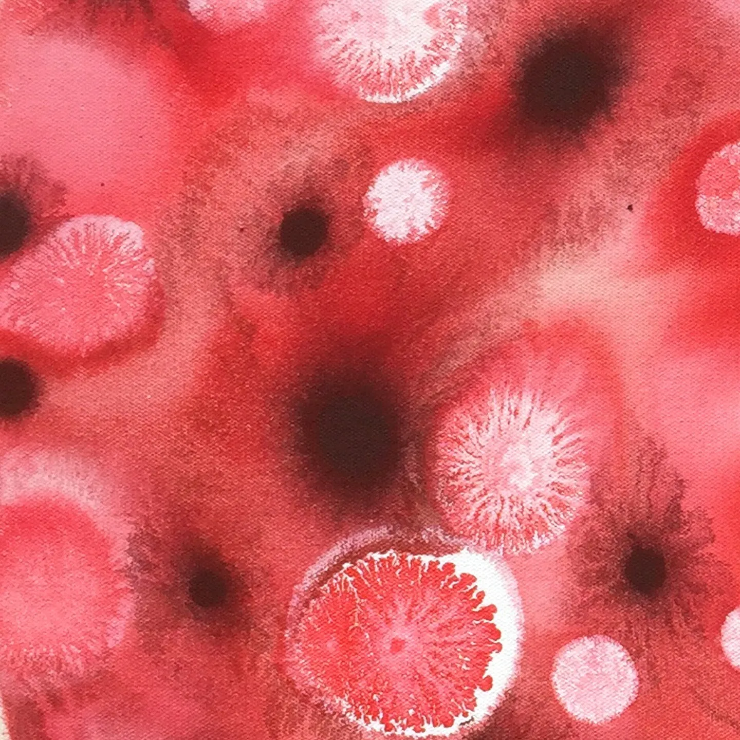 Red Pi