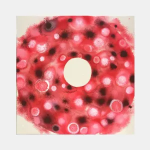 Red Pi