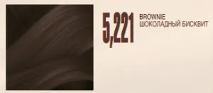 Salerm© Biokera Natura Organic Color 5,221 Brownie 2.3oz