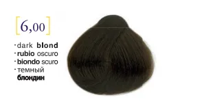Salerm© Salermvison Professsional 6,00 Dark Blond 2.3oz
