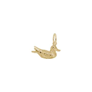 Shiny Duck Charm