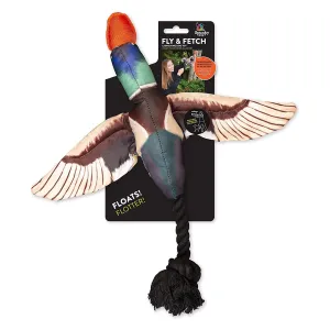 Spunky Pup Fly and Fetch Toys