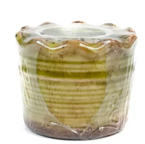 Swan Creek Ruffled Pot Candle in Thai Pear
