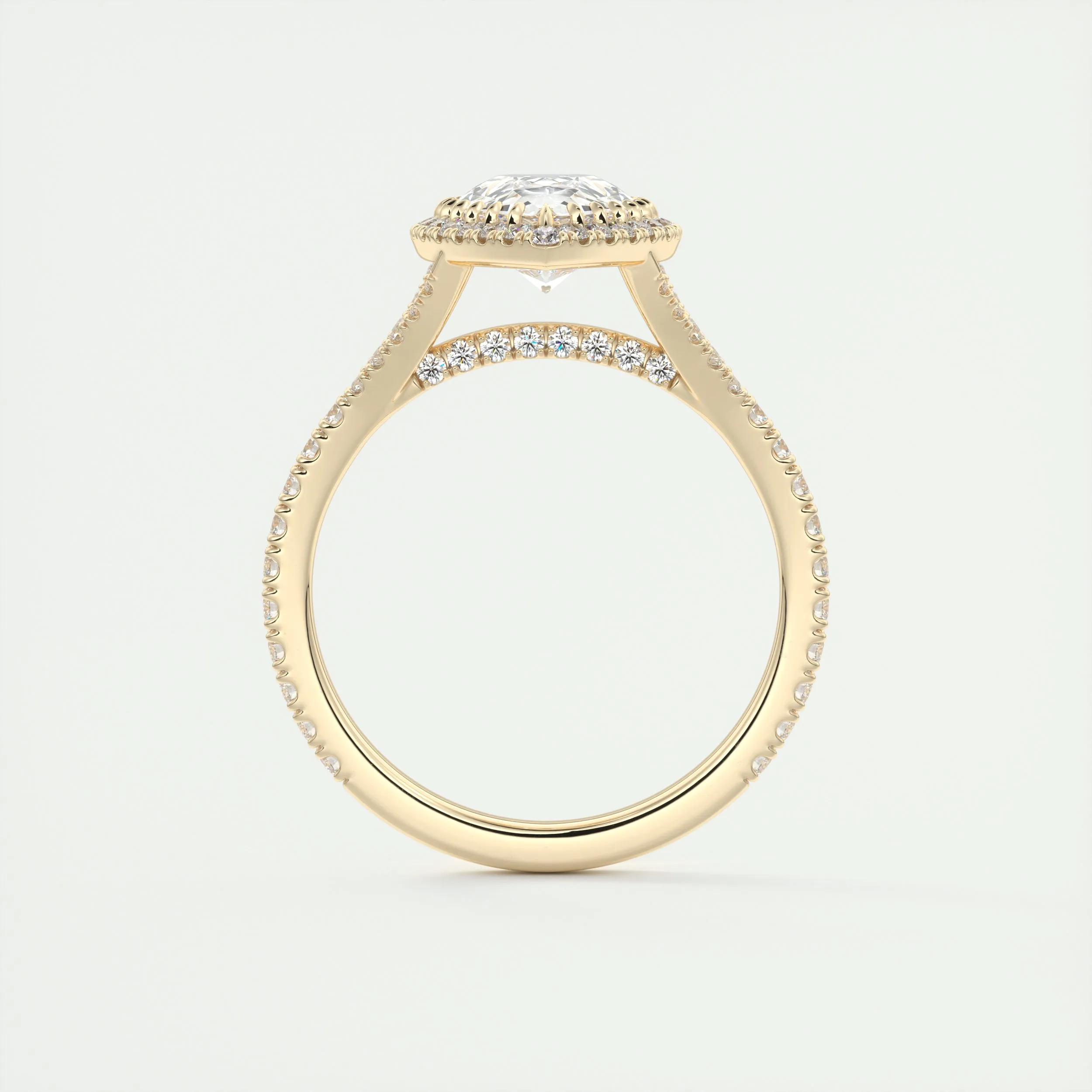 The French Halo | Pear